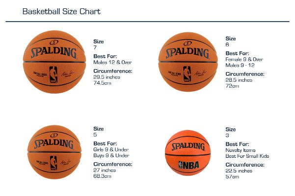 篮球尺寸怎么区分？（初学者必备的篮球知识）