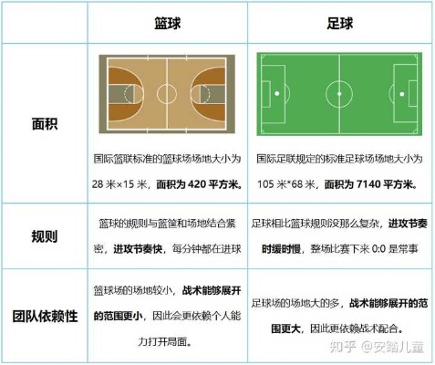 篮球尺寸怎么区分？（初学者必备的篮球知识）-第3张图片-www.211178.com_果博福布斯