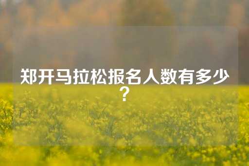 郑开马拉松报名人数有多少？