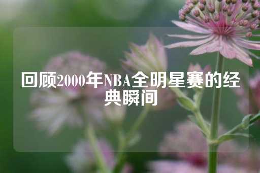 回顾2000年NBA全明星赛的经典瞬间-第1张图片-皇冠信用盘出租