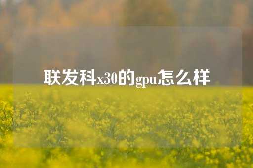 联发科x30的gpu怎么样-第1张图片-皇冠信用盘出租