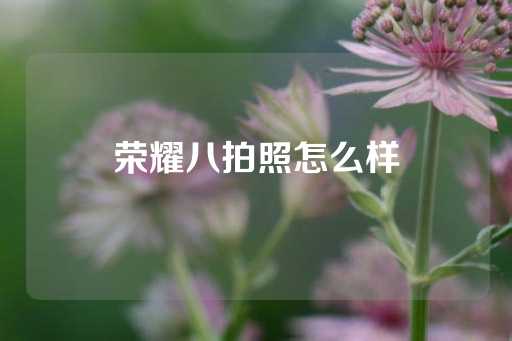 荣耀八拍照怎么样-第1张图片-皇冠信用盘出租