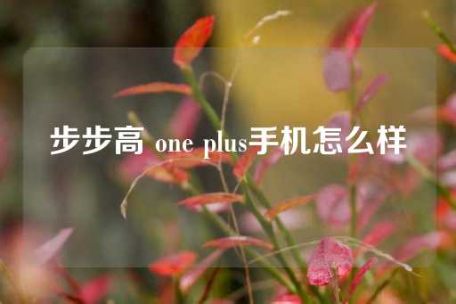 步步高 one plus手机怎么样